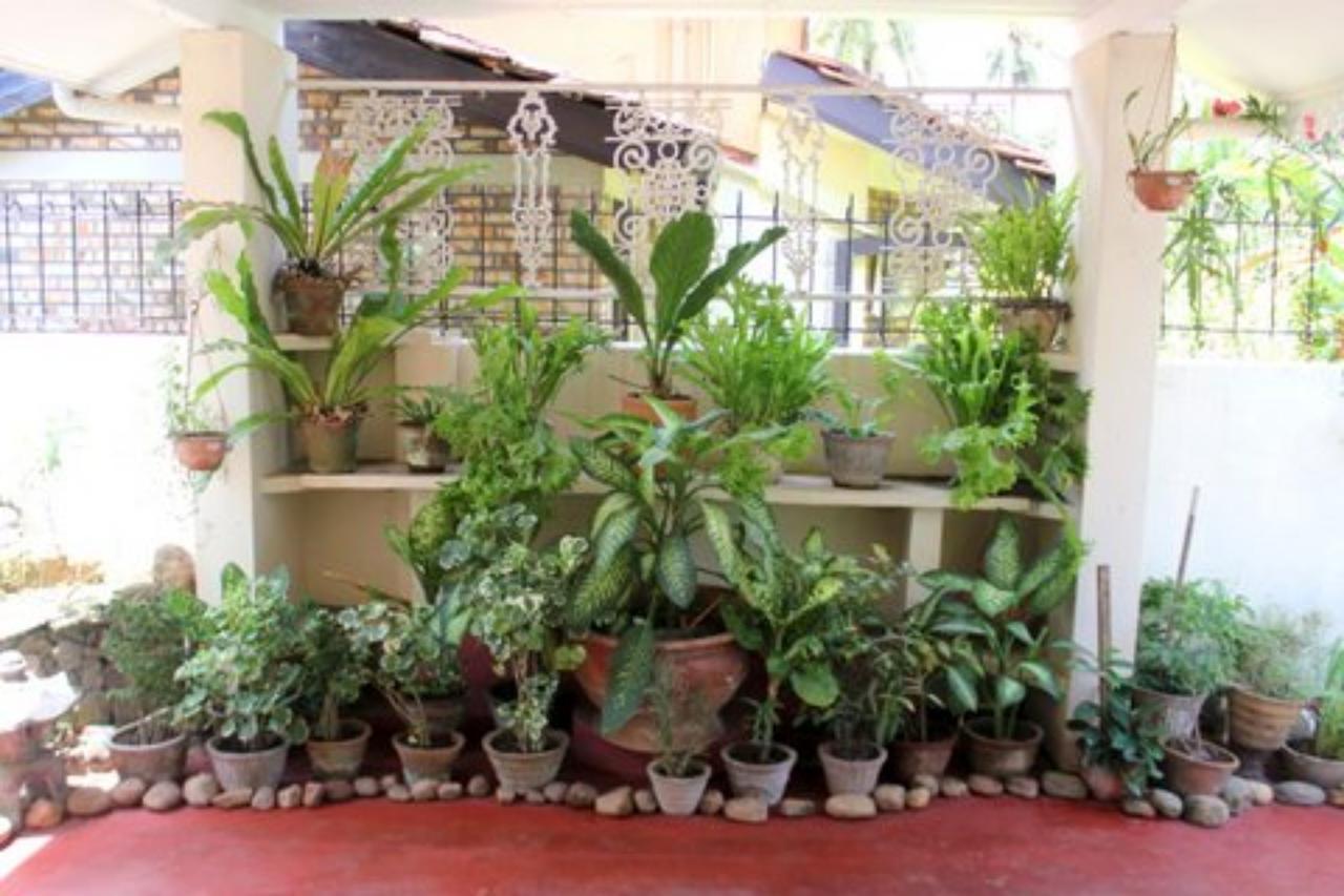 Charming Homestay By The Beach Dehiwala-Mount Lavinia Exteriér fotografie